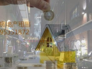 打造餐飲文化教育生活服務(wù)一體化精品社區(qū)商業(yè)街，上海商鋪轉(zhuǎn)讓新機(jī)遇